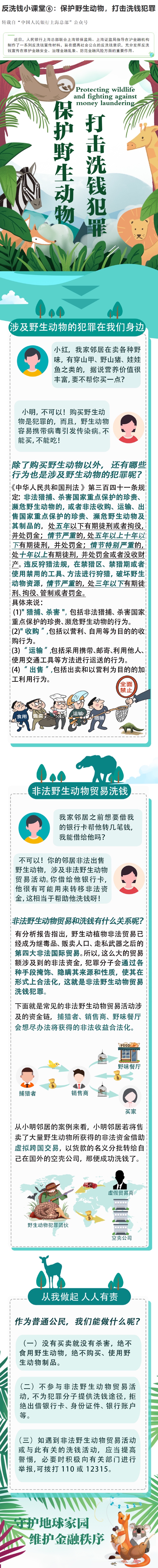 反洗錢小課堂⑥：保護(hù)野生動(dòng)物，打擊洗錢犯罪.jpg